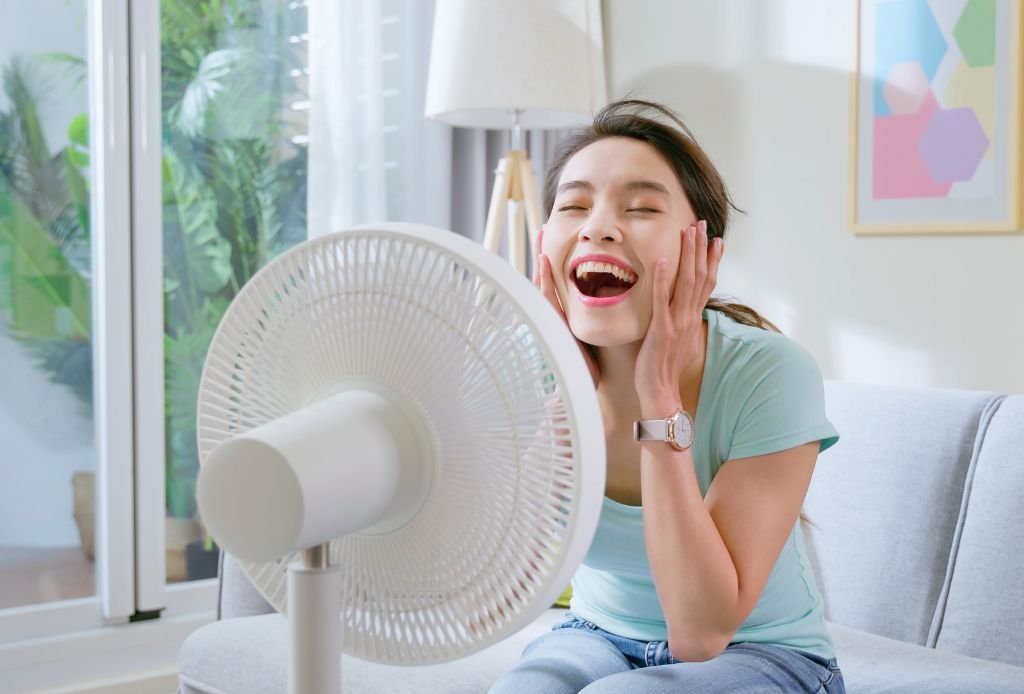 Ventilador Ventilador ou Ar Condicionado ou Climatizador