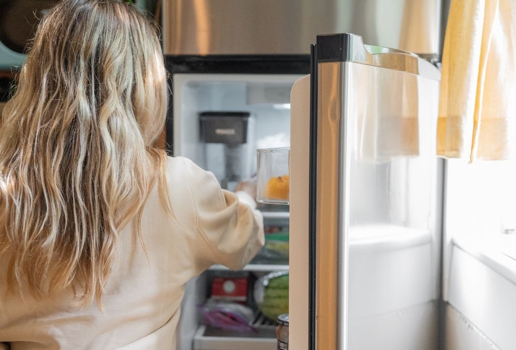 Geladeira Frost Free ou Degelo Manual Como Escolher a Melhor Geladeira