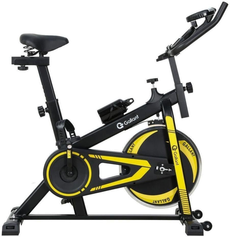bike ergométrica spinning silenciosa